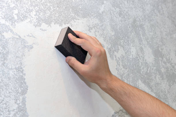 Best Mold Prevention Services  in Sea Cliff, NY