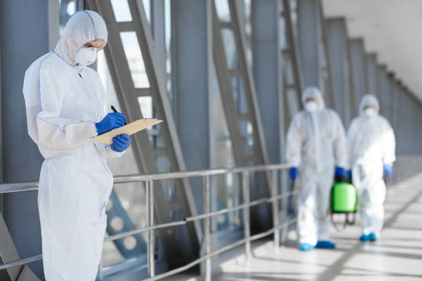 Best Emergency Mold Remediation  in Sea Cliff, NY