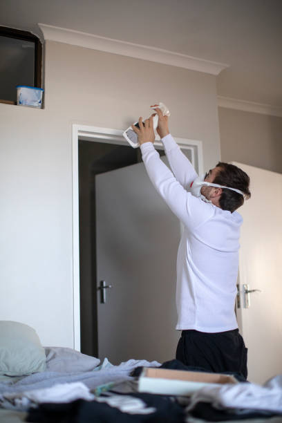  Sea Cliff, NY Mold Removal Pros