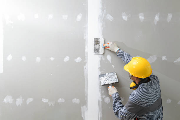 Best Mold Odor Removal Services  in Sea Cliff, NY