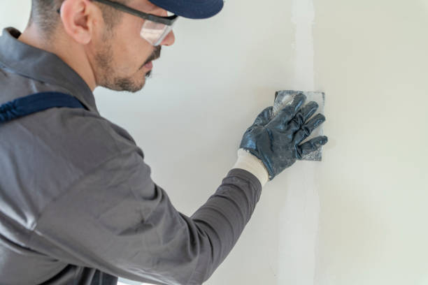 Best Asbestos and Lead Testing During Mold Inspection  in Sea Cliff, NY