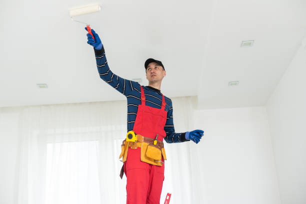 Best Attic Mold Removal  in Sea Cliff, NY